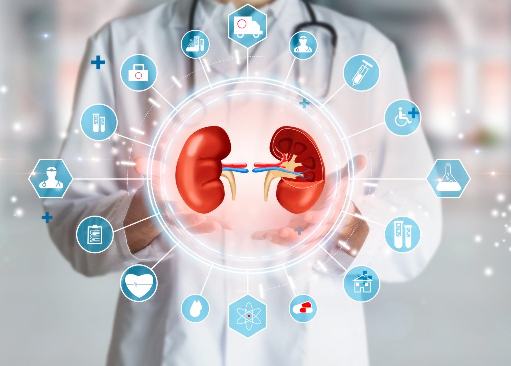 Healthy Kidney Function Matters