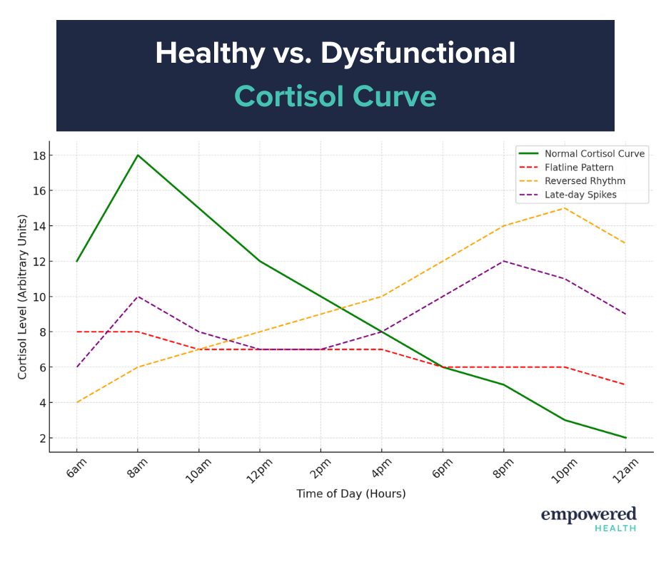 Cortisol curve