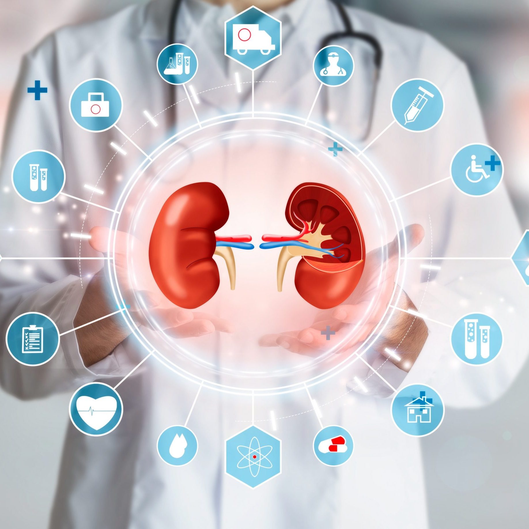 Healthy Kidney Function Matters