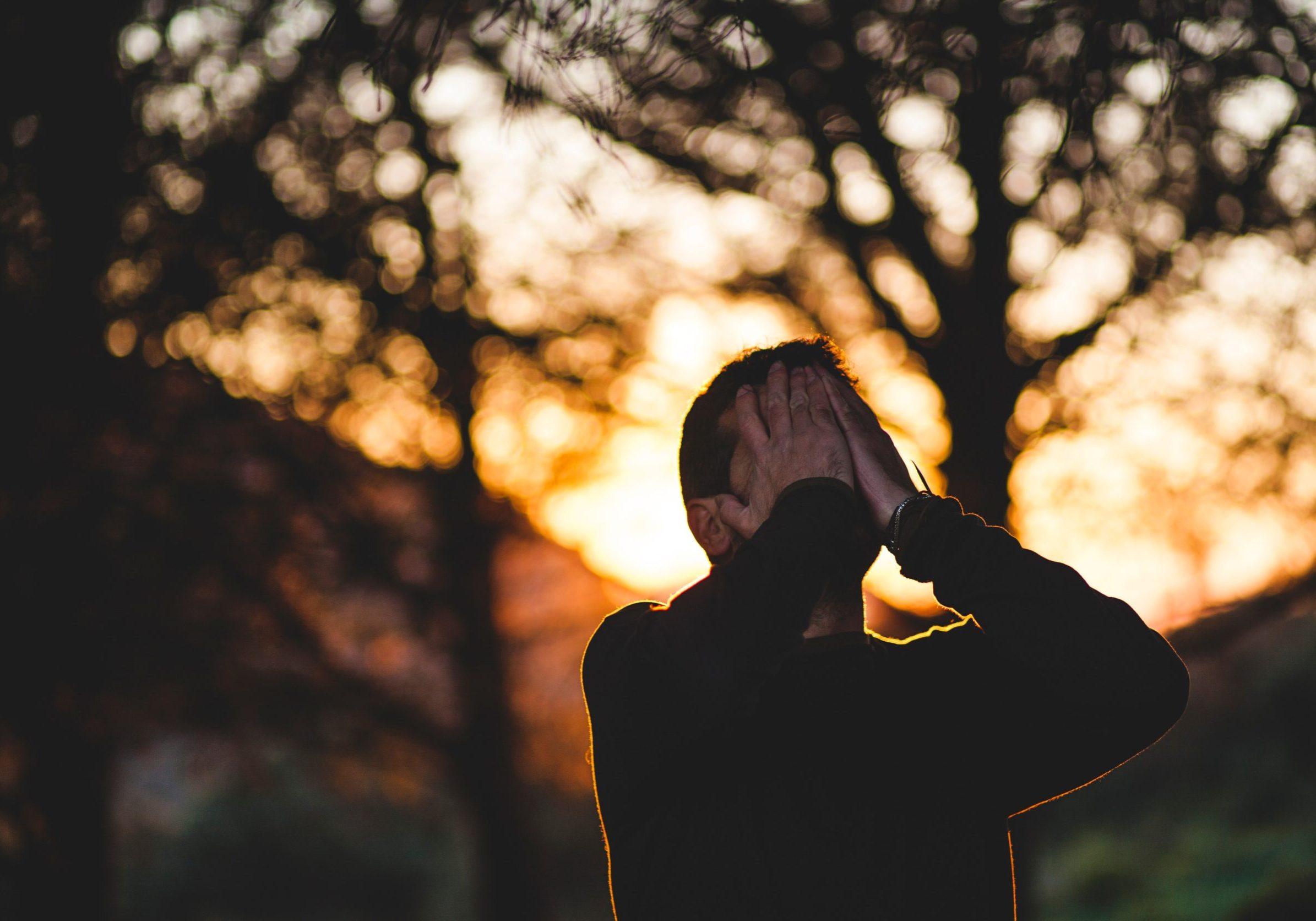 francisco-moreno-wuo8KnyCm4I-unsplash