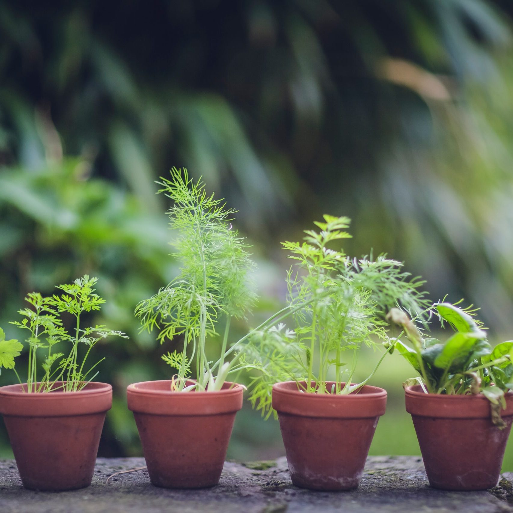 markus-spiske-IRrUkB8Fq-0-unsplash